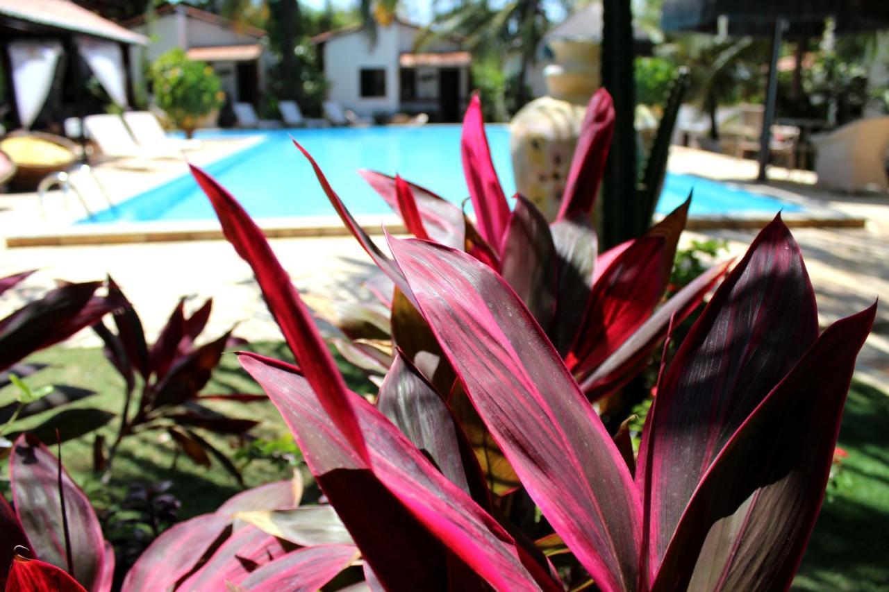 Hotel E Pousada La Dolce Vita Каноа-Кебрада Экстерьер фото